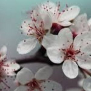 Meet your Posher, Gloria